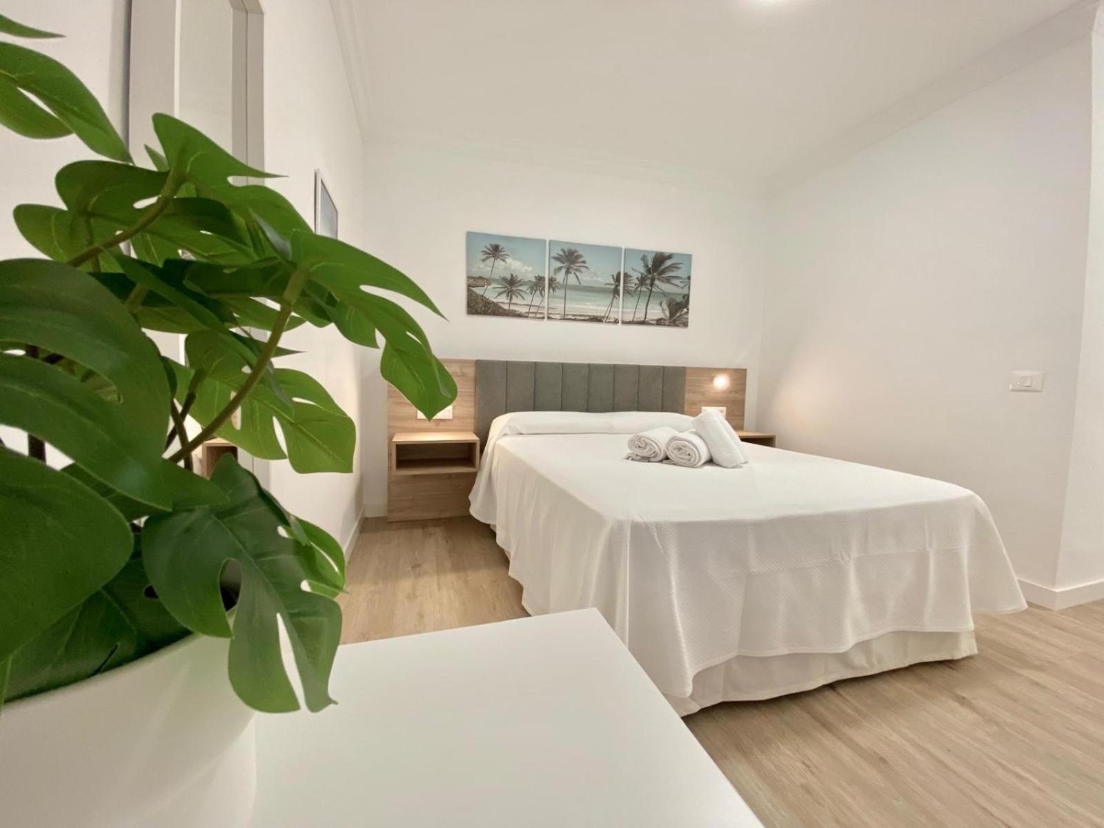 The Sun Appartement Puerto de la Cruz (Tenerife)